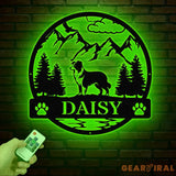 Border Colie Metal Sign Custom Dog Name Sign Sheep Dog Custom Sign Border Colie Wall Decor Dog Lovers Wall Art Pet