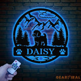 Cavapoo Metal Sign with Led Lights Custom Dog Name Sign Dog Memorial Gift Cavapoo Wall Decor Dog Lovers Wall Art Pet