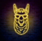 Cool Llama Neon Sign with Sunglasses Custom Animal Neon Light Funny Llama Wall Decor Neon Art for Kids Room Llama Lover
