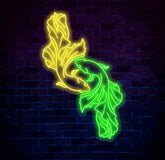 Custom Koi Fish Neon Sign – Color-Changing LED Yin Yang Wall Art – Perfect for Home Office or Café Decor – Unique Zen