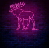 Custom Moose Neon Sign Personalized Animal LED Wall Art Rustic Cabin Neon Light Unique Home Decor Hunting Lodge Gift