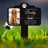 Custom Photo Dog Loss Memorial Stake Personalized Pet Grave Marker Photo Tribute Plaque for Bereaved Dog Owners Dog