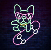 French Bulldog Neon Sign Skateboard Neon Signs for Wall Decor Dog Neon Light Sign for Bedroom Decor Pet Shop Decor