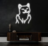 Funny Cat Neon Sign – Playful LED Neon Light for Home Bar or Game Room – Cool Cat Wall Art for Animal Lovers and Unique