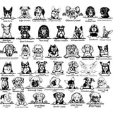 Custom Dog Address Stake: Personalized Metal House Number Sign