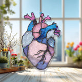 Anatomical Heart Acrylic Suncatcher, Pink Blue Human Heart Window Hanging, Medical Art Gift, Unique Science Acrylic Home Decor