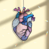 Anatomical Heart Acrylic Suncatcher, Pink Blue Human Heart Window Hanging, Medical Art Gift, Unique Science Acrylic Home Decor