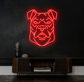 Multi-Color Pit Bull Neon Sign – Custom LED Neon Wall Light for Home Office or Pet Café – Unique Gift for Pit Bull and