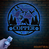 Rough Collie Metal Sign Custom Dog Name Sign Dog Memorial Gift Rough Collie Wall Decor Dog Lovers Wall Art Pet Lover