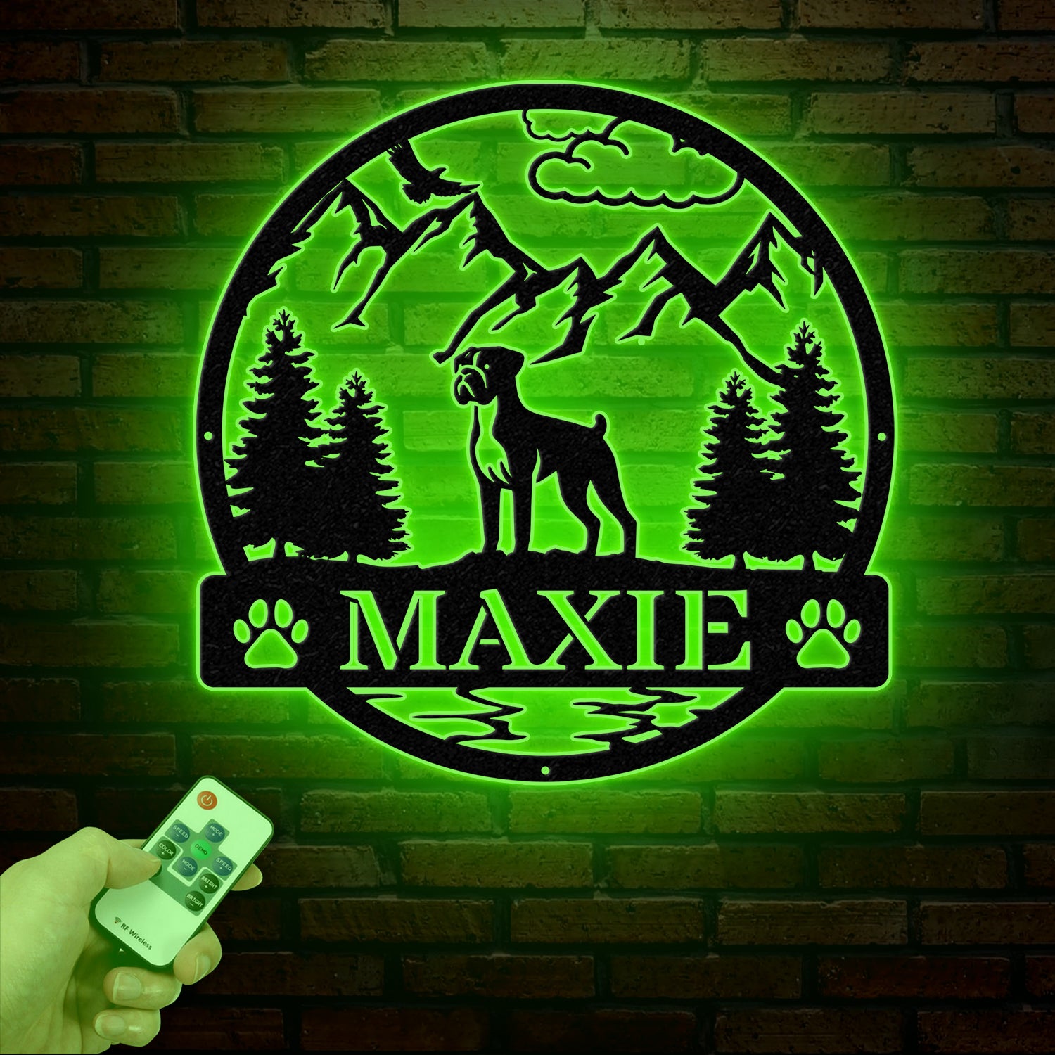 Boxer Metal Sign with Led Lights, Custom Dog Name Sign, Dog Memorial Gift, Boxer Wall Decor, Dog Lovers Wall Art, Pet Lover Gift