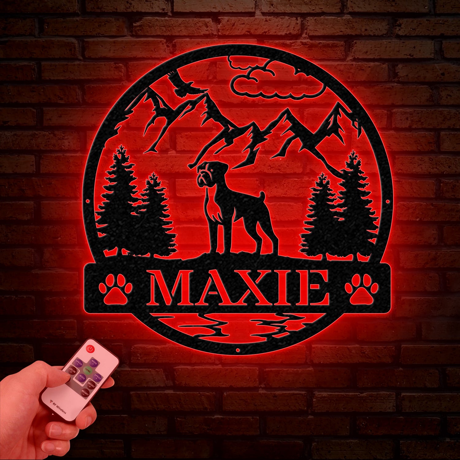 Boxer Metal Sign with Led Lights, Custom Dog Name Sign, Dog Memorial Gift, Boxer Wall Decor, Dog Lovers Wall Art, Pet Lover Gift