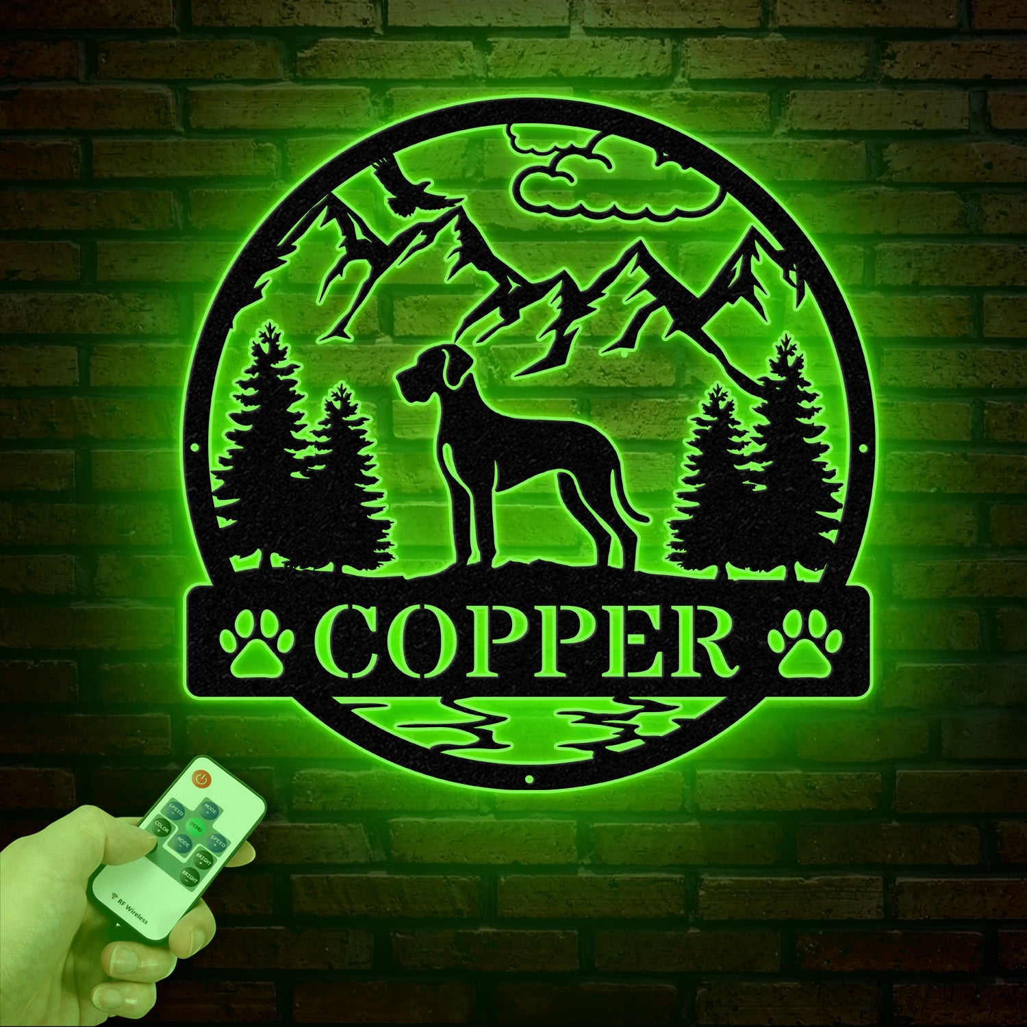 Cane Corso Metal Sign with Led Lights, Custom Dog Name Sign, Dog Memorial Gift, Cane Corso Wall Decor, Dog Lovers Wall Art, Pet Lover Gift