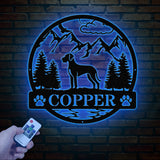 Cane Corso Metal Sign with Led Lights, Custom Dog Name Sign, Dog Memorial Gift, Cane Corso Wall Decor, Dog Lovers Wall Art, Pet Lover Gift