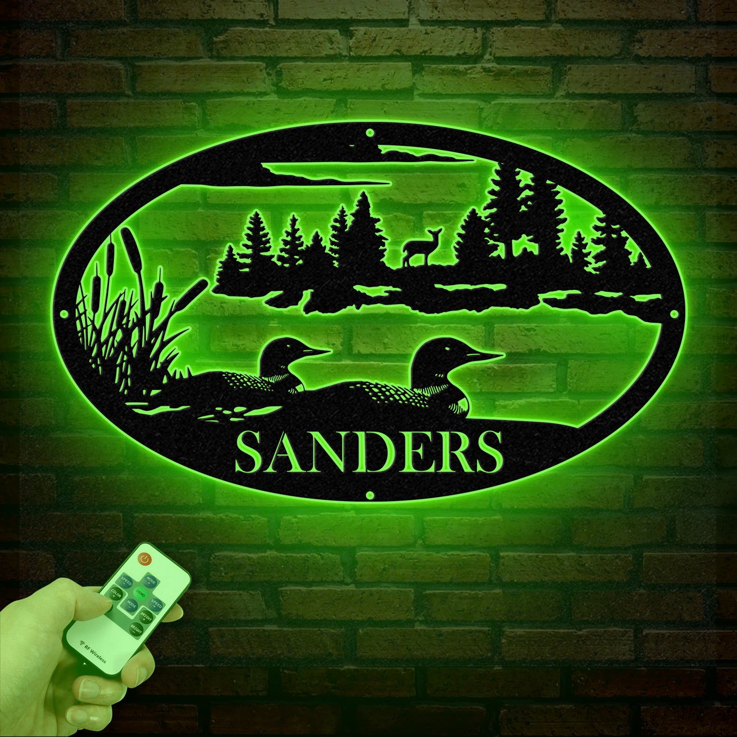 Custom Duck Sign with Led Lights, Personalized Duck Metal Sign, Farmhouse Decor, Duck Hutch Coop Sign, Quack Shack Cabin Decor, Farmer Gift