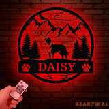 Border Colie Metal Sign Custom Dog Name Sign Sheep Dog Custom Sign Border Colie Wall Decor Dog Lovers Wall Art Pet