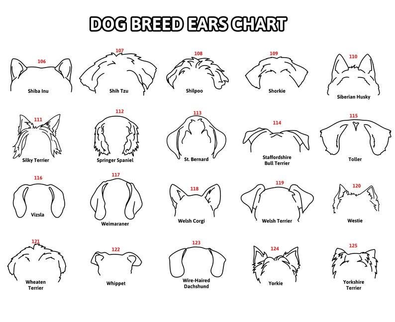 Custom Dog Ear Metal Sign, Pet Loss Gift, Dog Ear Art, Personalized Gift, Dog Ear Portrait, Unique Gift Idea, Pet Loss Gifts