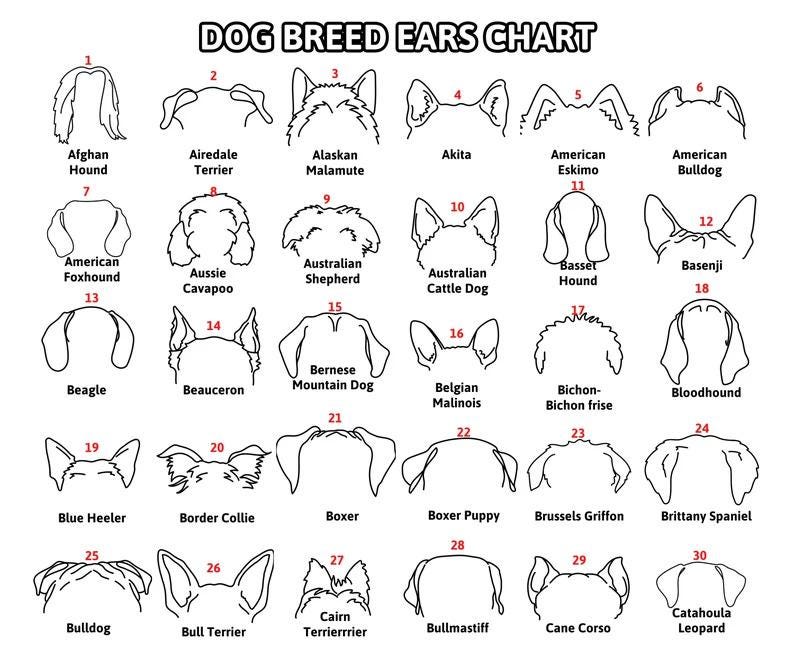 Custom Dog Ear Metal Sign, Pet Loss Gift, Dog Ear Art, Personalized Gift, Dog Ear Portrait, Unique Gift Idea, Pet Loss Gifts