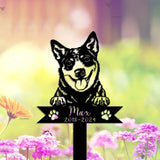 Custom Dog Memorial Metal Sign - Australian Cattle Dog Loss - Pet Grave Markers - Dog Lover | GearViral