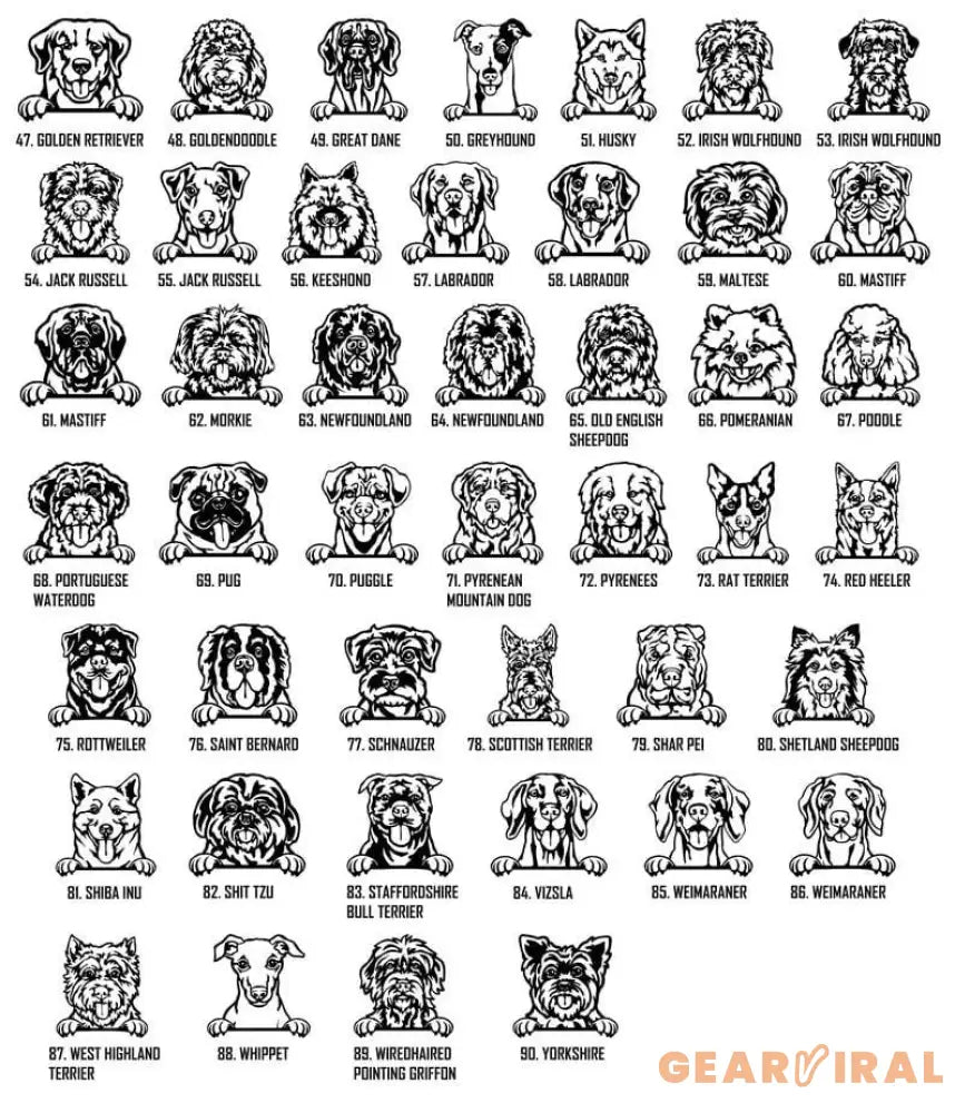 Custom Dog Memorial Stake Personalized Pet Grave Marker Photo Tribute Plaque for Bereaved Dog Owners Dog Remembrance