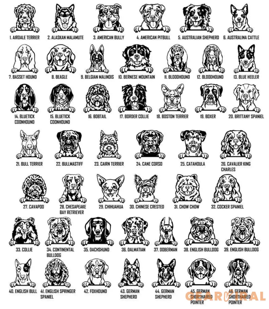 Custom Dog Memorial Stake Personalized Pet Grave Marker Photo Tribute Plaque for Bereaved Dog Owners Dog Remembrance