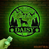 Custom Vizsla Metal Sign Dog Name Sign Personalized Vizsla Wall Decor Dog Lovers Wall Art Dog Mom Gifts Pet Lovers Gift