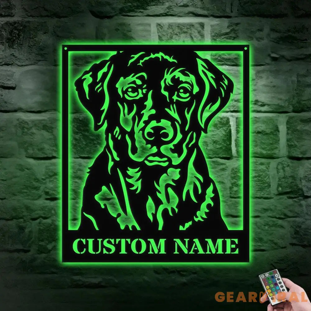 Dog’s House Metal Name Sign With LED Lights Personalized Split Letter Last Name Dog Lover Metal Sign Dog Metal sign