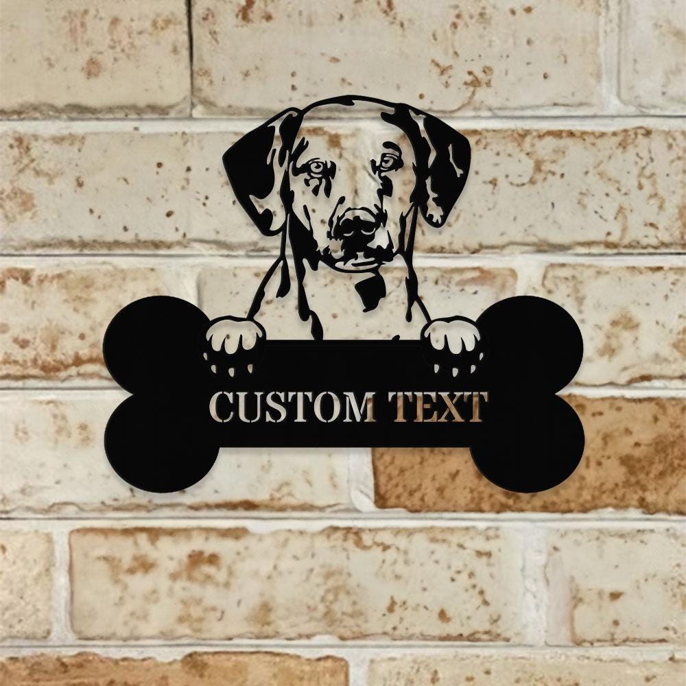 Dog's House Metal Name Sign With LED Lights, Personalized Split Letter Last Name, Dog Lover Metal Sign, Dog Metal sign Housewarming Monogram