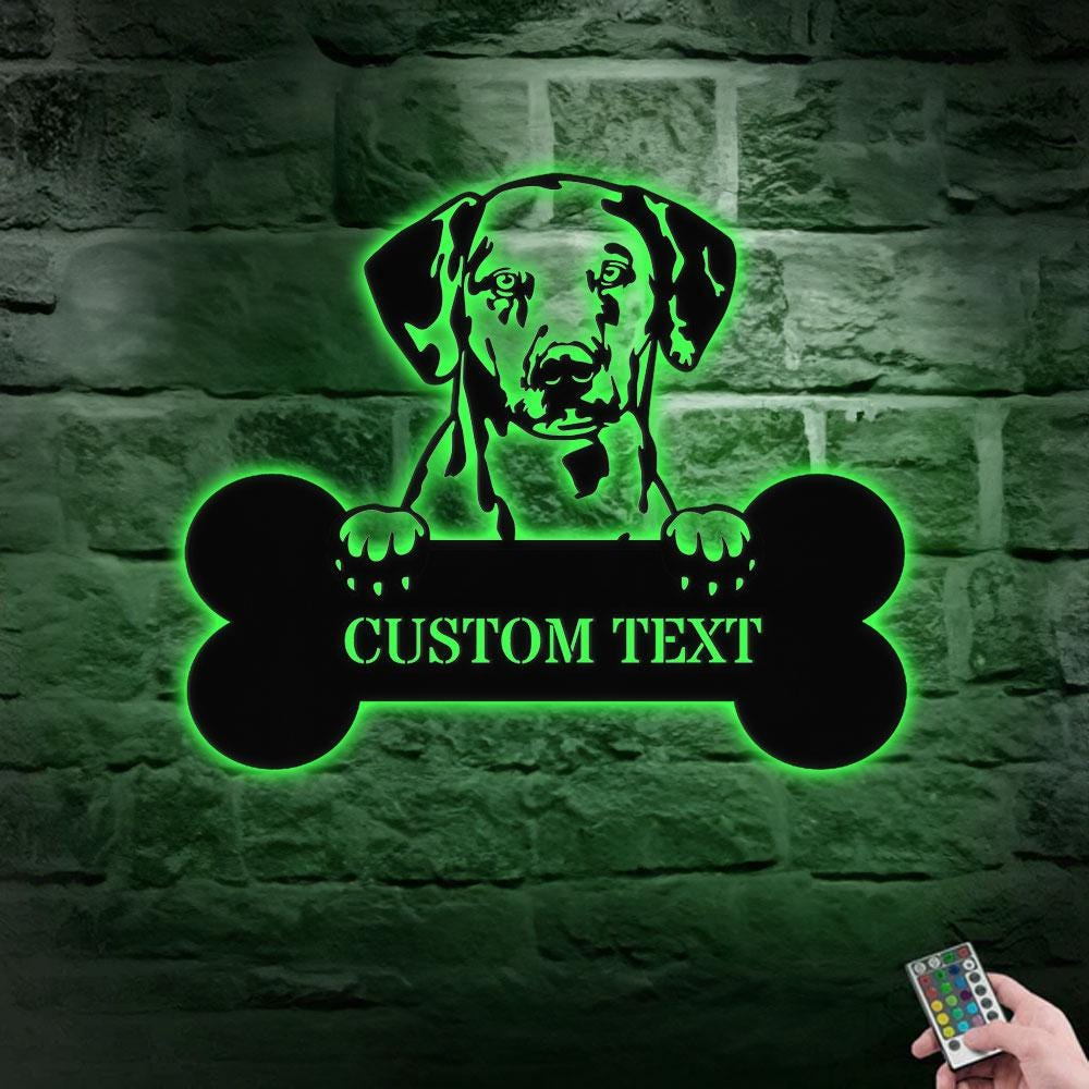 Dog's House Metal Name Sign With LED Lights, Personalized Split Letter Last Name, Dog Lover Metal Sign, Dog Metal sign Housewarming Monogram