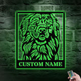 Dog's House Metal Name Sign With LED Lights, Personalized Split Letter Last Name, Dog Lover Metal Sign, Dog Metal sign Housewarming Monogram