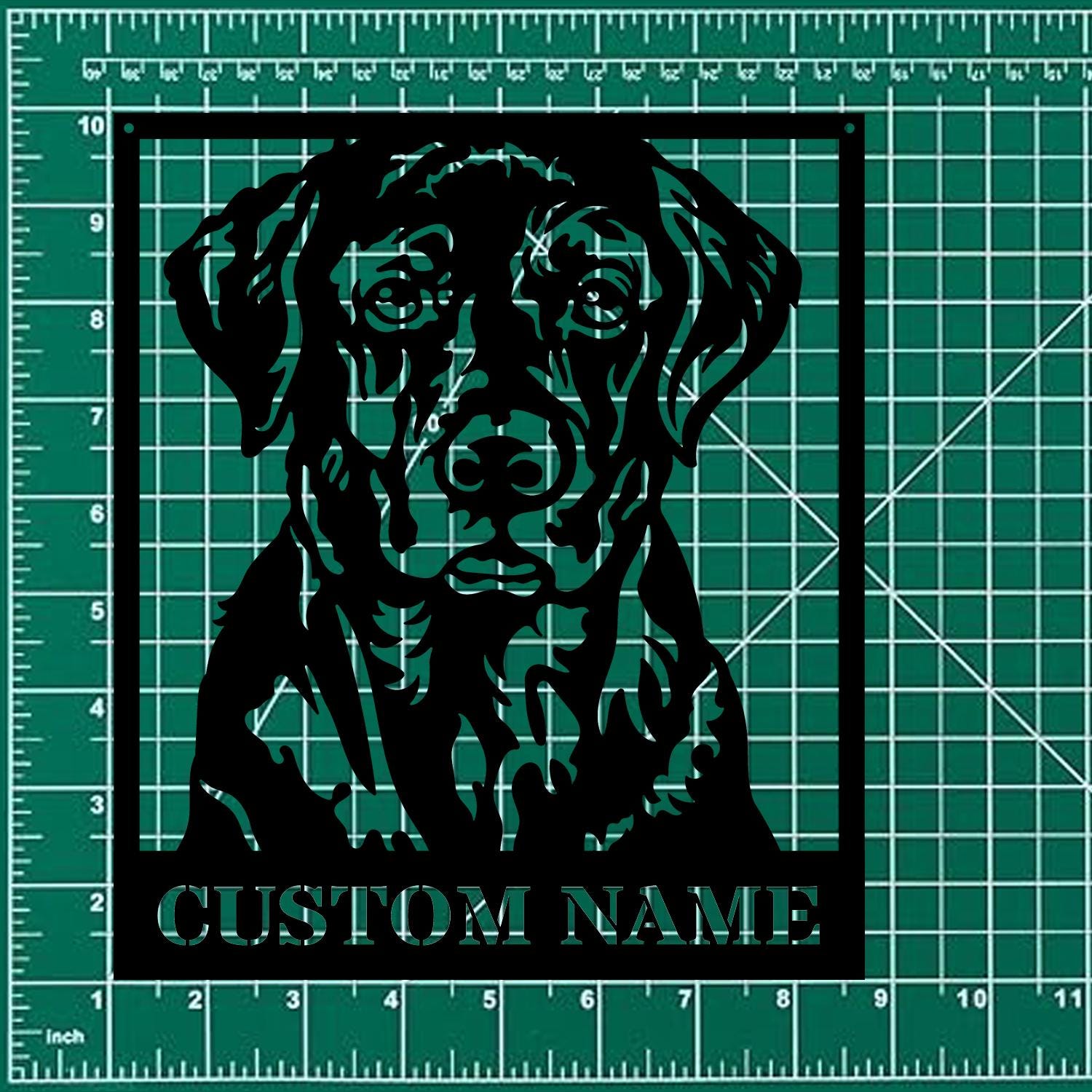 Dog's House Metal Name Sign With LED Lights, Personalized Split Letter Last Name, Dog Lover Metal Sign, Dog Metal sign Housewarming Monogram