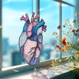 Anatomical Heart Acrylic Suncatcher, Pink Blue Human Heart Window Hanging, Medical Art Gift, Unique Science Acrylic Home Decor