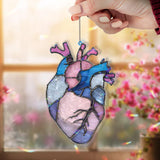 Anatomical Heart Acrylic Suncatcher, Pink Blue Human Heart Window Hanging, Medical Art Gift, Unique Science Acrylic Home Decor