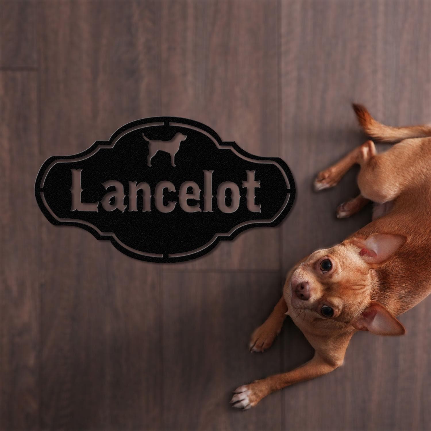 Personalized Crate Metal Sign, Custom Dog Decor, Hanging Crate Sign, Custom Crate Sign, Dog Bone Sign, Custom Dog Gift, Crate Dog Decor