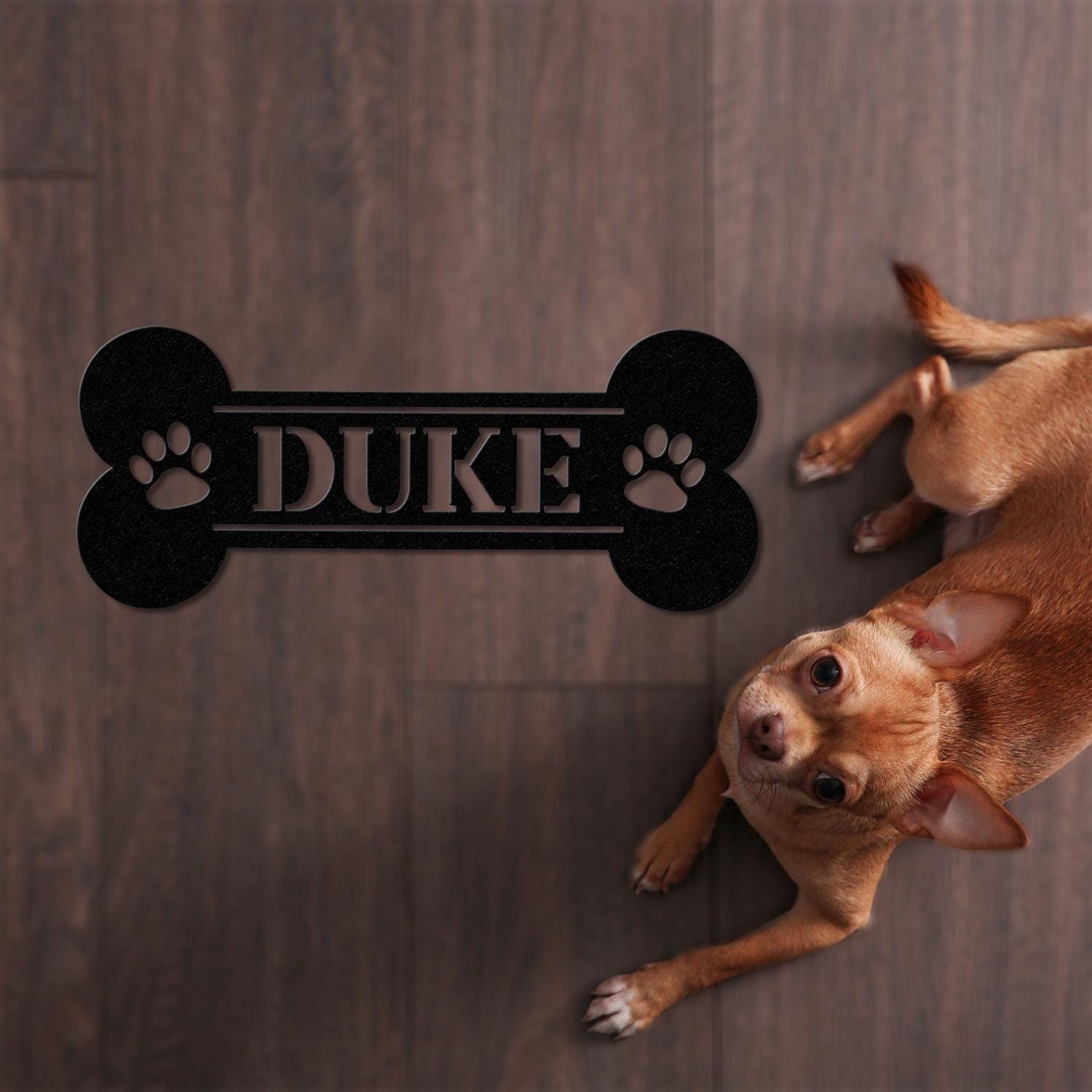 Personalized Dog Crate Metal Sign, Custom Dog Decor, Hanging Crate Sign, Custom Crate Sign, Dog Bone Sign, Custom Dog Gift, Crate Dog Decor