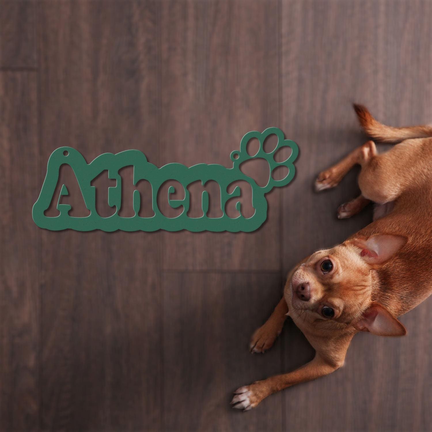 Pet Name Metal Sign, Dog Sign for Wall, Dog House Name, Pet Name Plaque, Dog Decor, Pet Signs, Dog Name Sign, Dog Kennel Name Plate