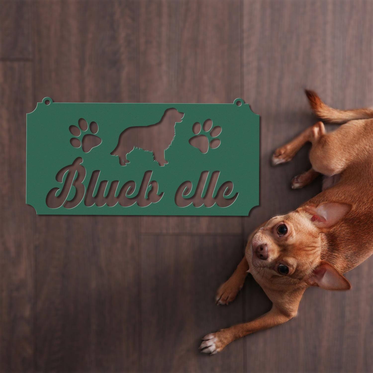 Pet Name Metal Sign, Dog Sign for Wall, Dog House Name, Pet Name Plaque, Dog DÃƒÂ©cor, Pet Signs, Dog Name Sign, Dog Kennel Name Plate